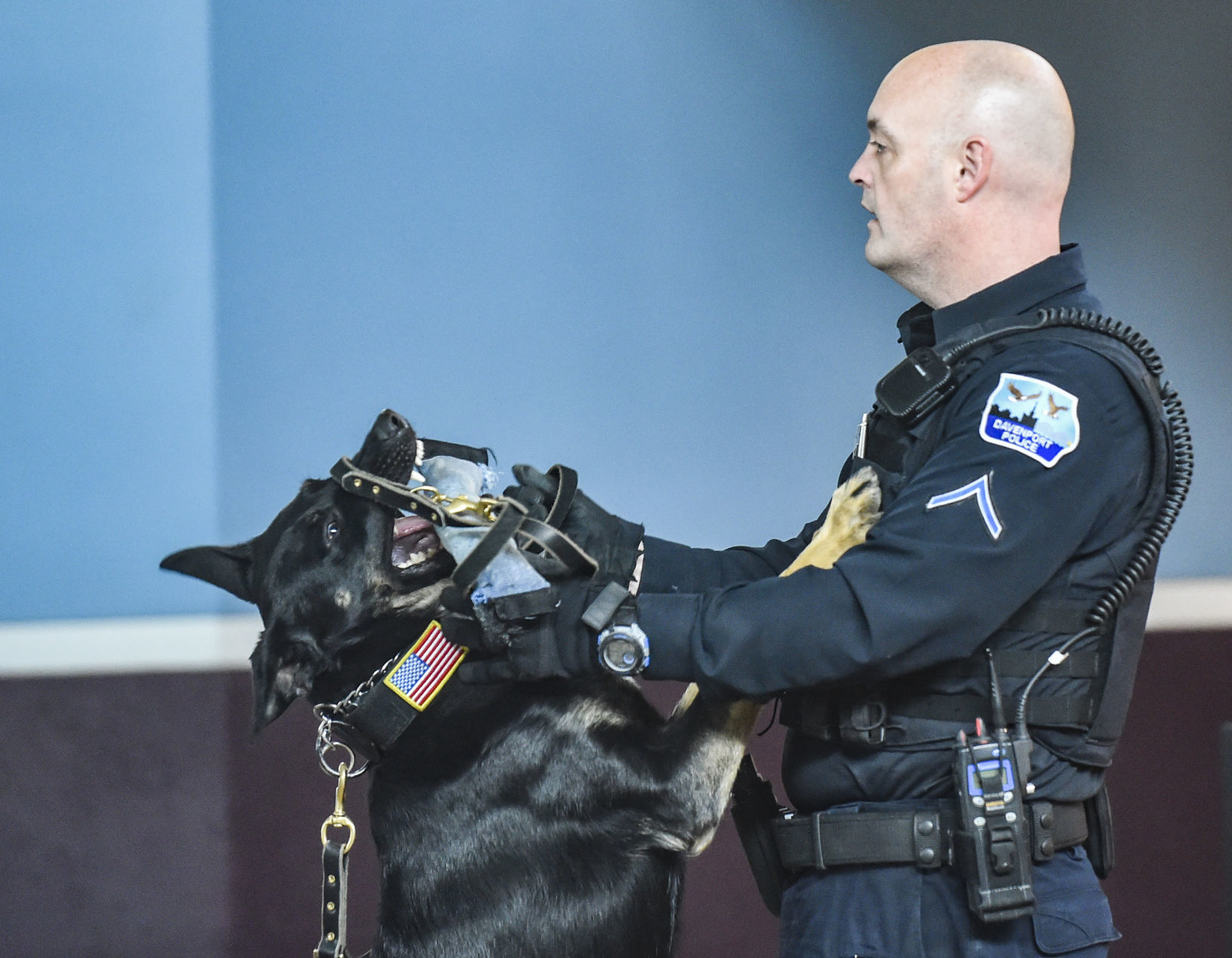 041519-qct-qca-dogs-08.jpg